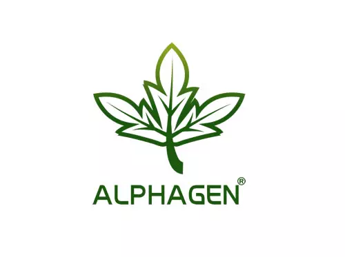 alphagen-網頁設計作品